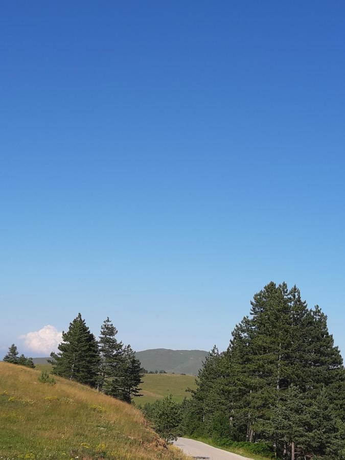 Apartman Gagi Zlatibor Exterior photo